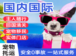 抚远航空物流国际宠物托运 【国